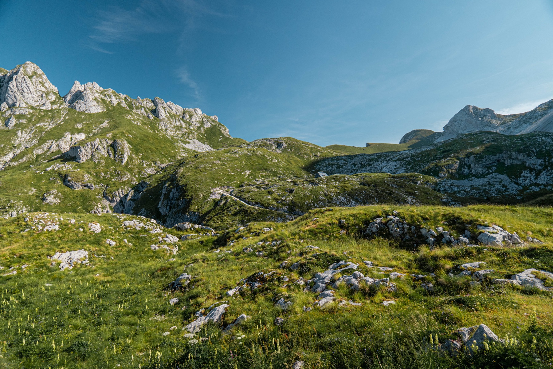 Horská louka nad údolím